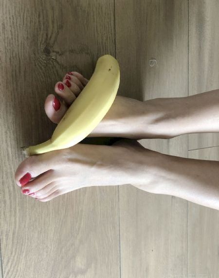 柳舟记 电视剧免费观看全集高清_4K免费观看超清