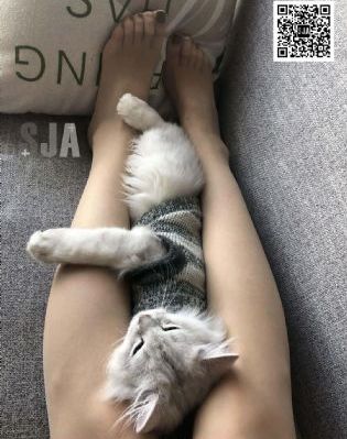 午夜电影视频_BD英语高清视频播放