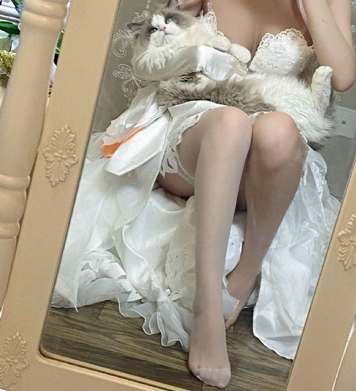 我的团长我的团免费观看 电视剧_4K高清在线观看