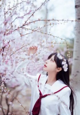 双胞胎姐妹齐上阵_BD国语免费播放